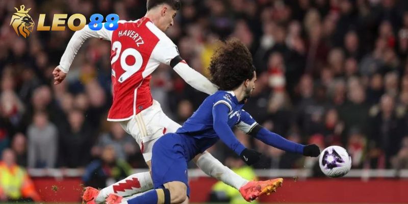 Giới thiệu về cú đúp là gì?